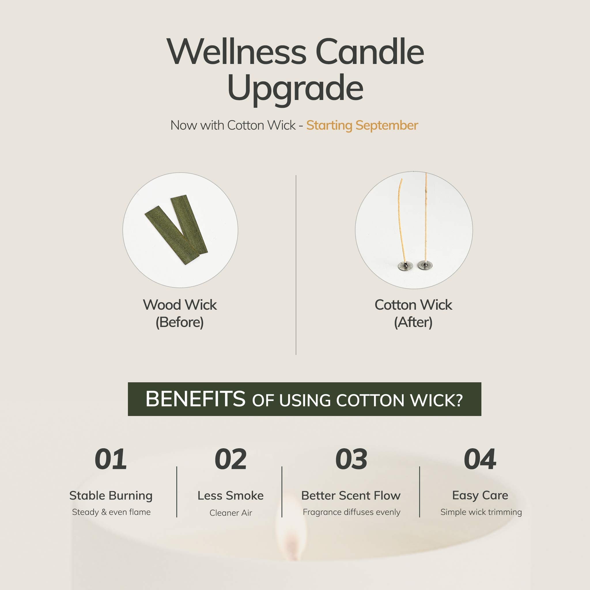 Mantra Wellness Candle